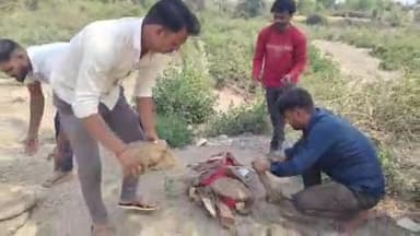 सुनेल: उन्हेल में बिजली की नंगे तारों से टकराकर बंदर की हुई मौत, ग्रामीणों ने जताया आक्रोश