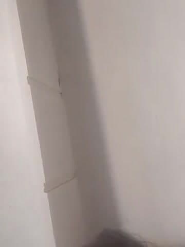 आबकारी अधिनियम के तहत मामला दर्ज किया गया है मुकदमा नम्बर 0169 नई मंण्डी हिण्डोन सिटी आबकारी अधिकारी गंगापुर से निवेदन