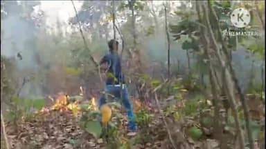 घाघरा: बिमरला जंगल में लगी आग वन रक्षा समिति आदर मलगो के सदस्यों ने बुझाई, अध्यक्ष ने दी जानकारी