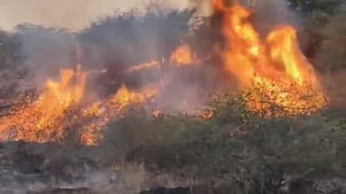 कनवास: दरा मुकुन्दरा टाइगर रिजर्व के वन क्षेत्र में लगी भीषण आग, 10 एकड़ में फैली आग को काबू करने में जुटी 1 दर्जन दमकल