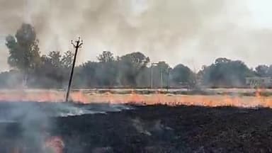 सांगोद: बपावर थाना इलाके के मोईकलां में नोलाइयो में लगी भीषण आग, ग्रामीणों ने मुश्किल से बुझाई, बड़ा हादसा टला
