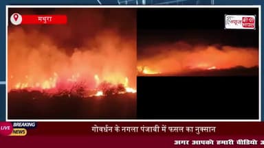 गोवर्धन में हाईटेंशन लाइन से गिरी चिंगारी, 20 बीघा गेहूं की फसल जलकर राख
#गोवर्धन #हाईटेंशन #लाइन #चिंगारी