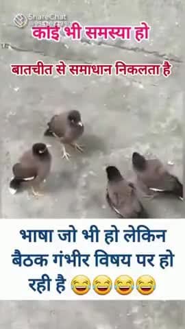 #bhasa @batchet ❤️❤️❤️❤️🙏😍