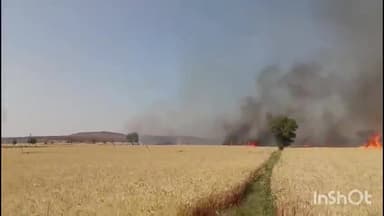 बहादुरपुर: बहादुरपुर तहसील के झागर बमुरिया सहित चार गांवों की 1500 बीघा फसल जलकर राख