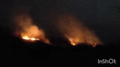 खकनार: करौली के जंगल में दो दिनों से आग लगी है, वन विभाग की उदासीनता पर सवाल उठ रहे हैं