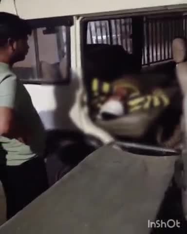 बदरवास: फोरलेन हाईवे मांगरोल पर आयशर मिनी ट्रक की टक्कर में ड्राइवर की मौत, हेल्पर घायल