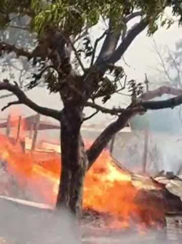 #last mahine mein Aag lagne se makke khet mein hua#
@