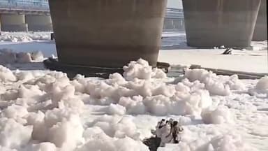 दिल्ली: यमुना की सफाई की जा रही है।
#news  #shorts  #viral