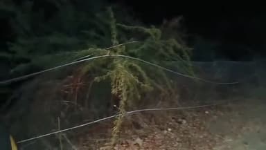 दलौदा: मंदसौर में संतोषी माता मंदिर के सामने विद्युत तार टूटने से बड़ी घटना टली