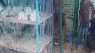 कानपुर: शासन के निर्देश पर पूजा स्थल के 500 मीटर के दायरे में मीट की दुकान बंद करने का आदेश डीएम ने जारी किया