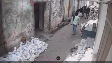 सीतापुर: बिसवां में दिनदहाड़े साइकिल चोरी की वारदात सीसीटीवी में कैद, वीडियो हुआ वायरल