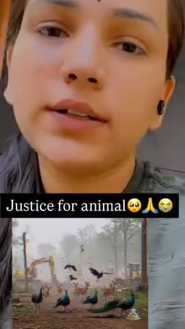 होली दीपावली पर पर्यावरण को चिंता करने वाला तबका गायब है