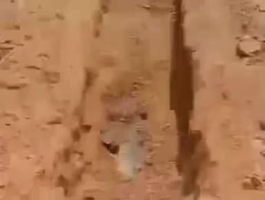 कुंडम: कुंडम में पिता की संदिग्ध मौत, बेटे के आवेदन पर कब्र से शव निकाला गया, पीएम के लिए भेजा