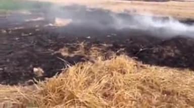 कसरावद: कृषि विभाग ने किसानों को खेतों में नरवाई न जलाने की सलाह दी, जैविक खाद बनाने का सुझाव दिया