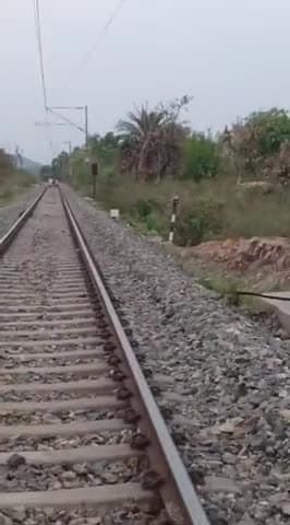 gunda railway line par krta hua hati ka jhund