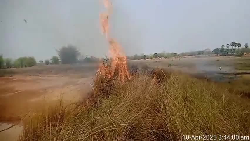 सोनाहातु, कुटिडीह गांव के पुर्वी दिशा के तलाब मे लगा आग