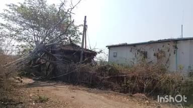 अधौरा: बड़गांव खुर्द गांव में तेज आंधी तूफान के कारण विशाल पेड़ गिरने से 24 घंटे तक बिजली बाधित रही