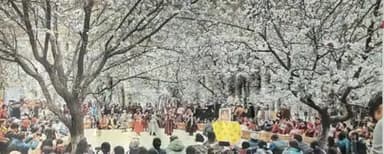 लद्दाख में बसंत के आगमन के साथ घाटियों में खुबानी के फूल खिल उठे हैं साथ ही फेस्टिवल की शुरुआत हो गई है पर्यटन विभाग द्वारा आयोजित फेस्टिवल के जरिए लद्दाख को साल भर के टूरिज्म के रूप में प्रमोट करने की तैयारी की जा रहीहै