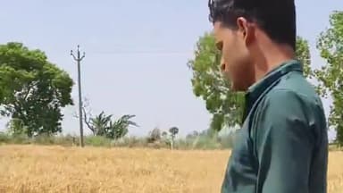 पूरनपुर: रामपुर तालुके के महाराजपुर गेहूं के खेत में मिले गोवंश पशु के अवशेष, मामले की जांच में जुटी पुलिस