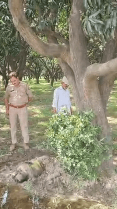 मेरठ: भावनपुर क्षेत्र में जमीन में दबी मिली महिला की लाश, कुत्ते नोचकर खा रहे थे, राहगीरों ने पुलिस को बताया