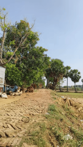 brihaspatiwar ko Aandhi tufan ne machaya hahakar 
10,4,25
#mithila 
@bind32296