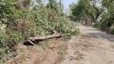 धनौरा: मंडी धनौरा तहसील क्षेत्र में तेज आंधी और बारिश से बिजली विभाग को हुआ ₹6 लाख का नुकसान, बिजली रही गुल