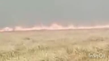 बलरामपुर: कोतवाली नगर क्षेत्र के ग्राम सोनार के चंदे ताल में लगी भीषण आग, ग्रामीणों में मचा हड़कंप