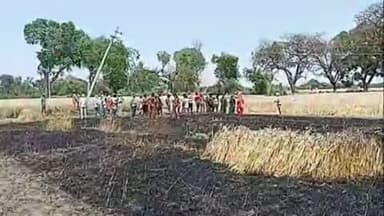 मंझनपुर: पड़री गाँव में बिजली के खंभे से खेत में गिरी चिंगारी से एक बीघा गेहूं की फसल जलकर राख
