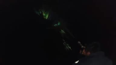 चेरिया बरियारपुर: मंझौल के कमला में देर रात तार के पेड़ पर गिरा ठनका, लगी आग