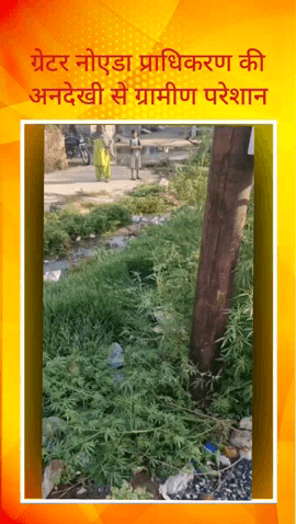 दादरी: ग्रेटर नोएडा प्राधिकरण के अधिकारियों पर ग्रामीणों ने लगाया जलभराव की समस्या का समाधान नहीं करने का आरोप