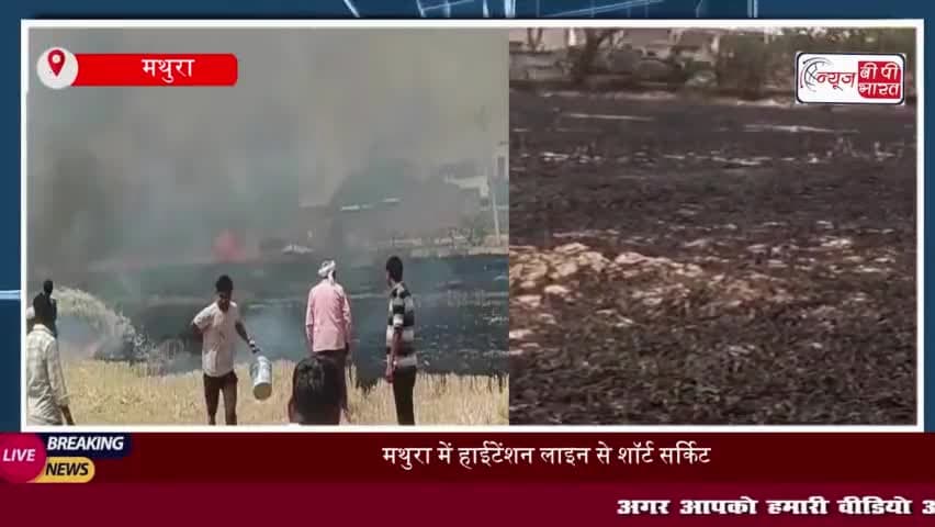 गोवर्धन में हाईटेंशन लाइन से लगी आग, किसान की 4 बीघा गेहूं की फसल राख
#गोवर्धन #हाईटेंशन #लाइन #आग #किसान