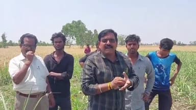 पूरनपुर: महंदखास हिन्दू बाहुल्य गांव के पास खेत में फिर मिले पशुओं के पुराने अवशेष, पुलिस मामले की जांच में जुटी