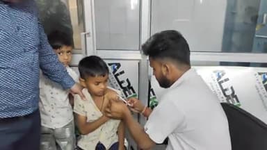 धनौरा: शहर गजरौला में आवारा कुत्तों ने 25 दिन में 1380 लोगों पर किया हमला, कई लोगों को डॉक्टर ने किया रेफर