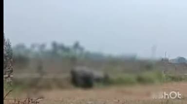 बिजनौर: नजीबाबाद रोड पर कार और नीलगाय के बीच हुई भीषण टक्कर, कार चालक हुआ घायल और नीलगाय के दो पैर टूटे