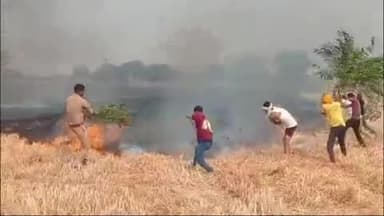 रायबरेली: बंडे गांव में अज्ञात कारणों से लगी आग ने मचाया तांडव, लगभग चार बीघे गेहूं की फसल और कई बीघे पराली जलकर हुई खाक
