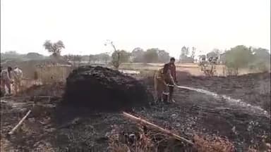 रायबरेली: भीतरगांव में अज्ञात कारणों से जंगल और पराली के खड़े खेतों में लगी आग, करीब 12 बीघा पराली जलकर हुई खाक