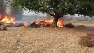 बिश्रामपुर: चोरटीया गांव के एक खेत में लगी आग, 150 बोझा गेहूँ और 100 बोझा अरहर जलकर राख