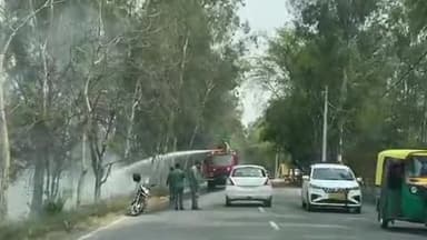 बरवाला: बरवाला डेराबस्सी मार्ग पर एयर फोर्स की दीवार के पास लगी आग, मौके पर पहुंची दमकल की गाड़ी