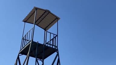 मंदसौर: गांधीसागर में 20 अप्रैल को सीएम मोहन यादव की मौजूदगी में छोड़े जाएंगे 2 अफ्रीकी चीते, तैयारी जारी