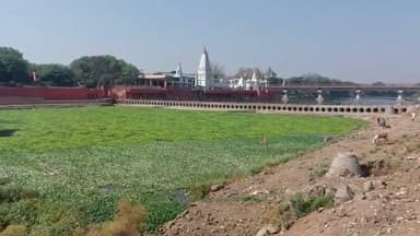 मंदसौर: पशुपतिनाथ की शिवना नदी में फिर बढ़ी जलकुंभी, भुगतान नहीं होने ठेकेदार ने रोका शिवना प्रोजेक्ट का कार्य