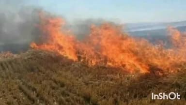 गुना नगर: जिले में कलेक्टर के आदेश का उल्लंघन, 112 किसानों पर ₹4 लाख का जुर्माना