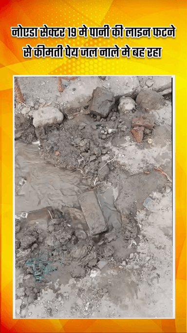गौतम बुद्ध नगर: नोएडा के सेक्टर 19 में पीने के पानी की लाइन फटने से कीमती पेय जल नाले में बह रहा, प्राधिकरण के सीईओ से की गई शिकायत