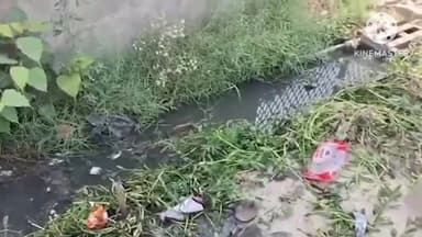 ਫਿਲੌਰ: ਗੁਰਾਇਆ ਦੇ ਵਾਰਡ ਨੰ 12 ਵਿਖੇ ਗੰਦੇ ਪਾਣੀ ਦੀ ਤੇ ਪਾਣੀ ਦੀ ਨਿਕਾਸੀ ਤੋਂ ਪਰੇਸ਼ਾਨ ਨਿਵਾਸੀਆਂ ਨੇ ਨਗਰ ਨਿਗਮ ਖਿਲਾਫ ਜਤਾਇਆ ਰੋਸ #jansamasya