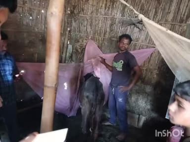 फारबिसगंज: बिजली से आग लगने से तीन घरों में लगी भीषण आग, लाखों रुपए का हुआ नुकसान