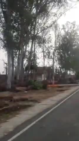 घटना गजरौला से तिगरी मार्ग की है जहां पर रात तेज़ हवा  चलने से काफी पेड़ और बिजली के काफी पोल गिर गए।।