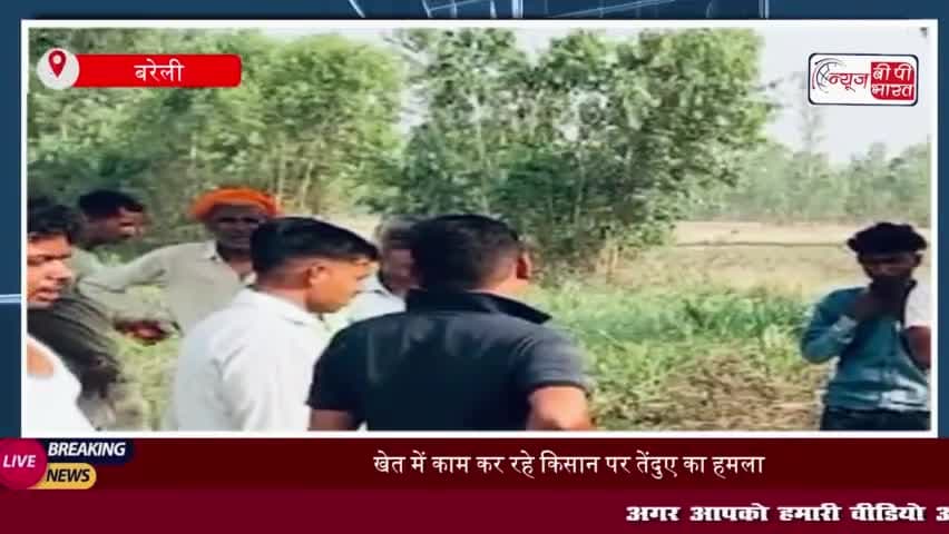 बरेली: खेत में काम कर रहे किसान पर तेंदुए का हमला, जबड़ा टूटा, हालत गंभीर
#बरेली #खेत #किसान #तेंदुए