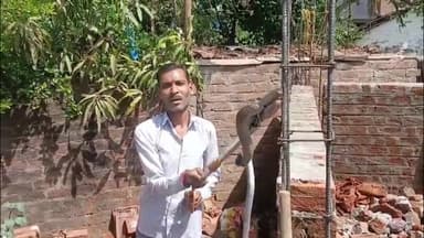 सागर नगर: बम्होरी रेंगुआ में मकान निर्माण के दौरान निकला कोबरा सांप, मजदूर भागे