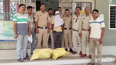 बदरवास: एनवारा गांव में पिता-पुत्र आंगन में गांजा उगा रहे थे, पुलिस ने बेटे को गिरफ्तार किया, पिता फरार
