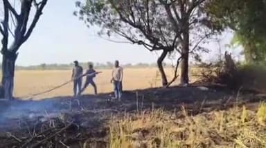 मारवाड़ जंक्शन: शिनला गांव के कृषि फार्म हाउस पर अज्ञात कारणों से लगी आग, लाखों रुपए की सौंफ की फसल जलकर हुई राख