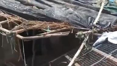 नौगावां सादात: नौगांवा थाना क्षेत्र के गांव जाटपुरा सुमाली में चिकन की दुकान में हुई तोड़फोड़, पीड़ित ने थाने में दी तहरीर